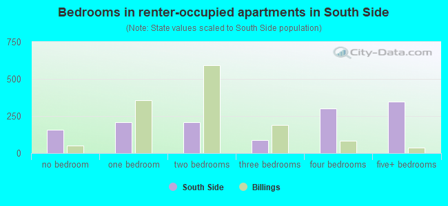Bedrooms in renter-occupied apartments in South Side