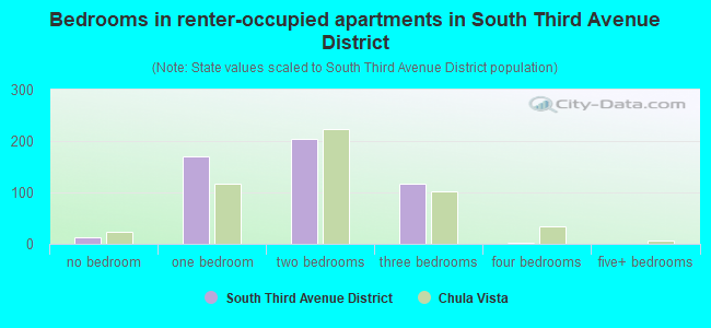 Bedrooms in renter-occupied apartments in South Third Avenue District