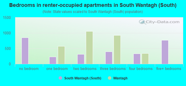 Bedrooms in renter-occupied apartments in South Wantagh (South)