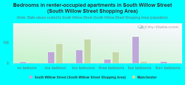 Bedrooms in renter-occupied apartments in South Willow Street (South Willow Street Shopping Area)