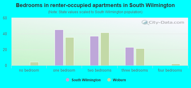 Bedrooms in renter-occupied apartments in South Wilmington