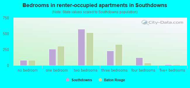 Bedrooms in renter-occupied apartments in Southdowns