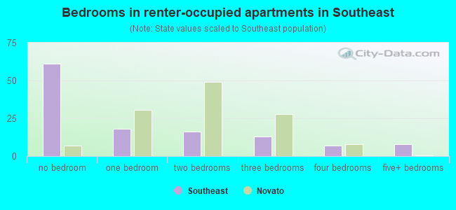 Bedrooms in renter-occupied apartments in Southeast