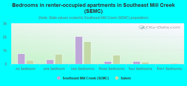 Bedrooms in renter-occupied apartments in Southeast Mill Creek (SEMC)