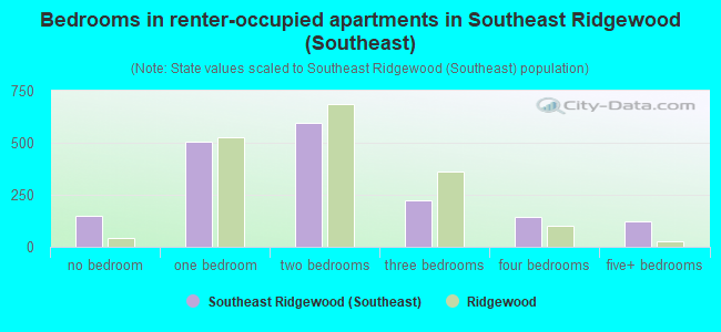 Bedrooms in renter-occupied apartments in Southeast Ridgewood (Southeast)