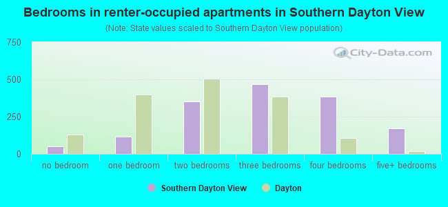 Bedrooms in renter-occupied apartments in Southern Dayton View