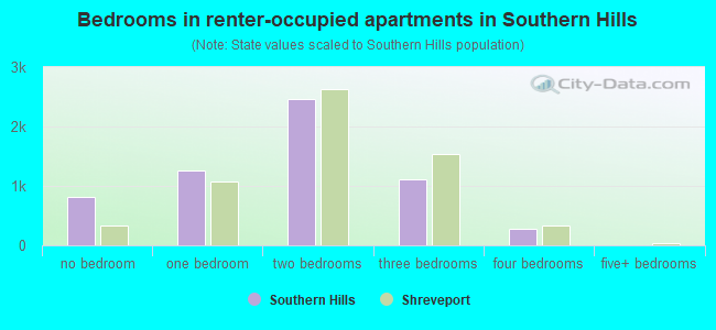 Bedrooms in renter-occupied apartments in Southern Hills