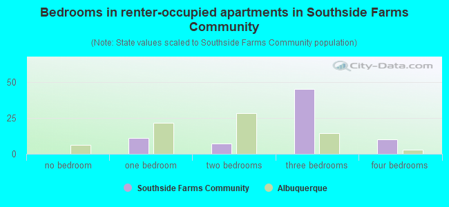 Bedrooms in renter-occupied apartments in Southside Farms Community