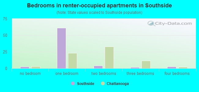 Bedrooms in renter-occupied apartments in Southside