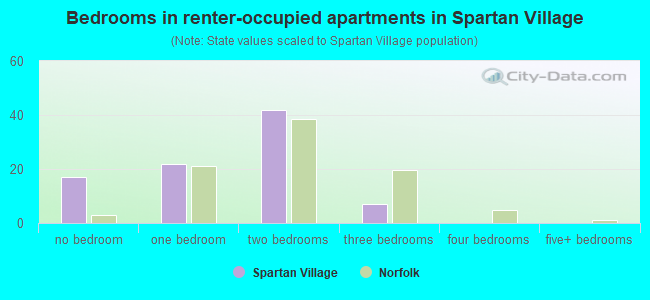 Bedrooms in renter-occupied apartments in Spartan Village