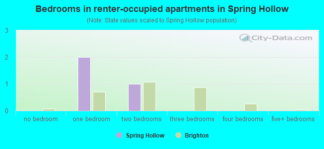Bedrooms in renter-occupied apartments in Spring Hollow