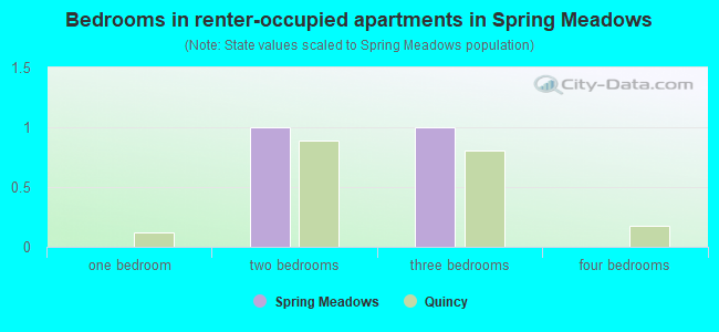 Bedrooms in renter-occupied apartments in Spring Meadows