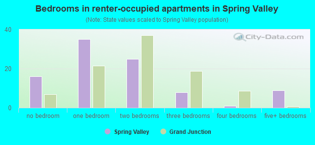 Bedrooms in renter-occupied apartments in Spring Valley