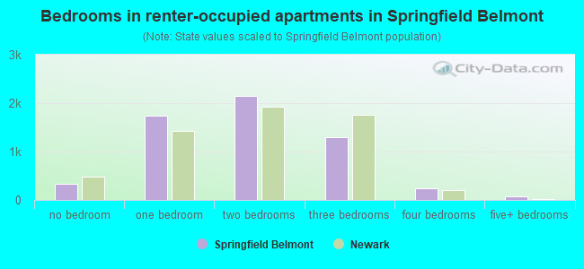 Bedrooms in renter-occupied apartments in Springfield Belmont