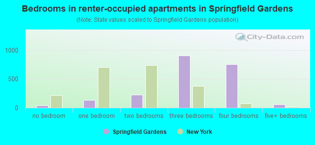 Bedrooms in renter-occupied apartments in Springfield Gardens