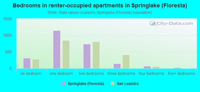 Bedrooms in renter-occupied apartments in Springlake (Floresta)