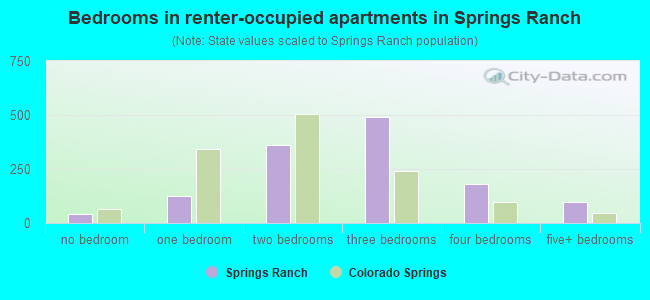 Bedrooms in renter-occupied apartments in Springs Ranch