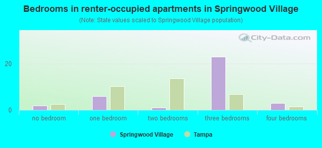 Bedrooms in renter-occupied apartments in Springwood Village
