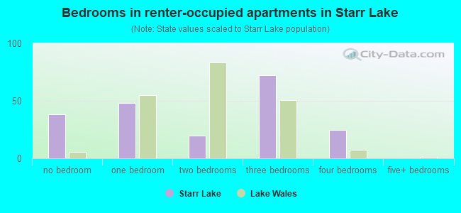 Bedrooms in renter-occupied apartments in Starr Lake