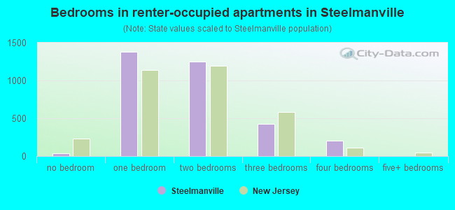 Bedrooms in renter-occupied apartments in Steelmanville