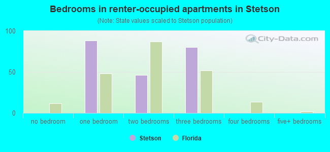 Bedrooms in renter-occupied apartments in Stetson