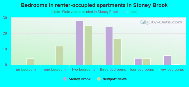 Bedrooms in renter-occupied apartments in Stoney Brook
