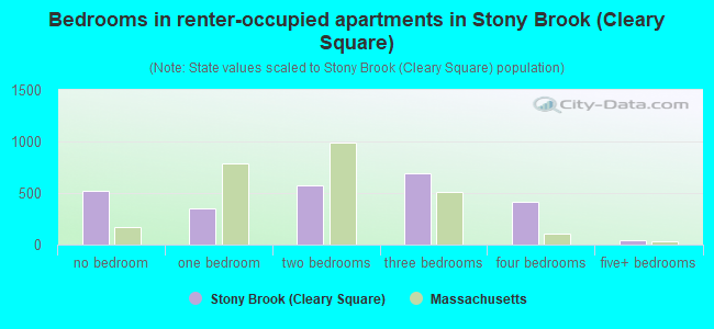 Bedrooms in renter-occupied apartments in Stony Brook (Cleary Square)
