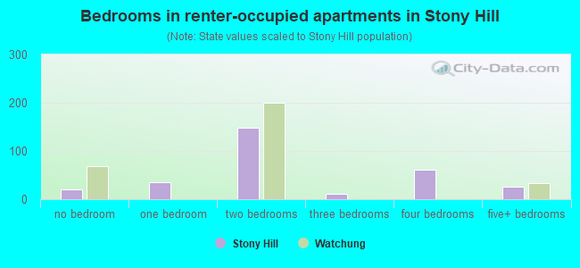 Bedrooms in renter-occupied apartments in Stony Hill