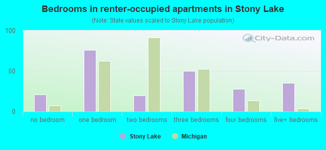 Bedrooms in renter-occupied apartments in Stony Lake
