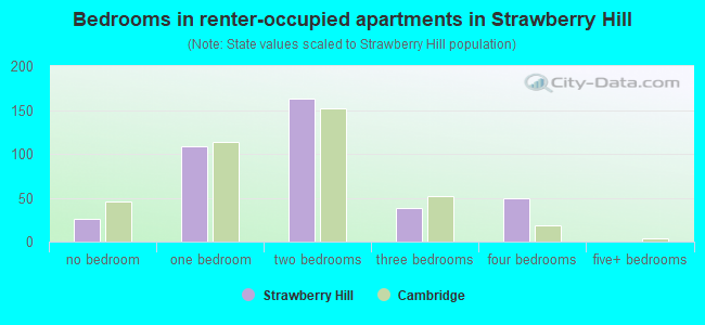 Bedrooms in renter-occupied apartments in Strawberry Hill