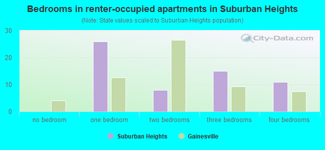 Bedrooms in renter-occupied apartments in Suburban Heights