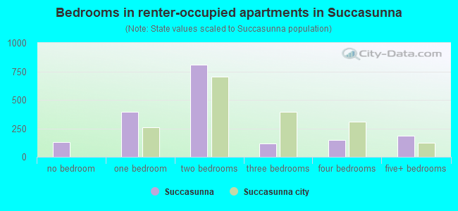 Bedrooms in renter-occupied apartments in Succasunna