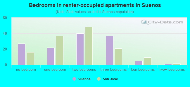 Bedrooms in renter-occupied apartments in Suenos