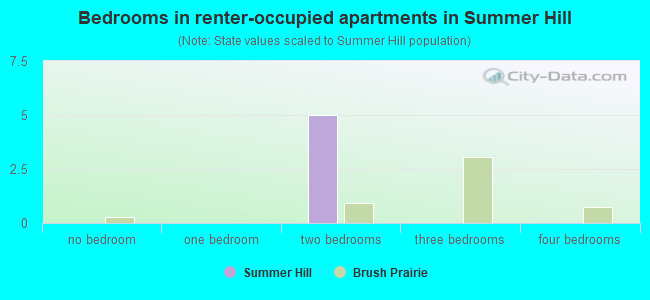 Bedrooms in renter-occupied apartments in Summer Hill