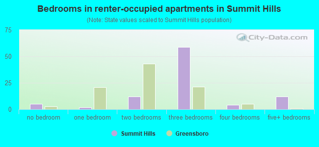 Bedrooms in renter-occupied apartments in Summit Hills