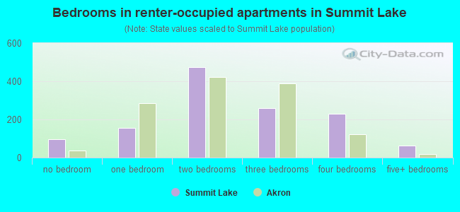 Bedrooms in renter-occupied apartments in Summit Lake