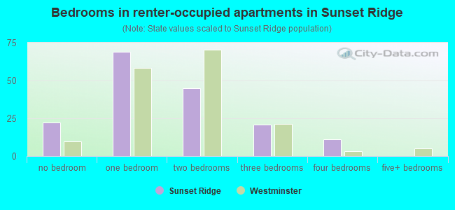 Bedrooms in renter-occupied apartments in Sunset Ridge