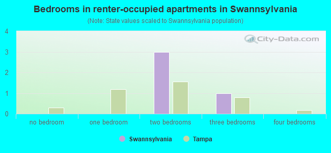 Bedrooms in renter-occupied apartments in Swannsylvania