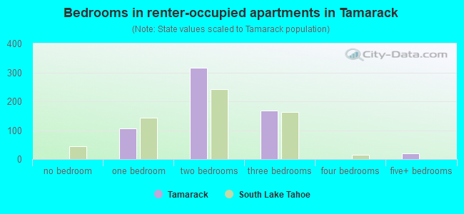 Bedrooms in renter-occupied apartments in Tamarack