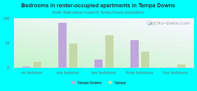 Bedrooms in renter-occupied apartments in Tampa Downs