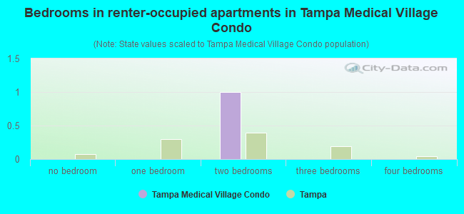 Bedrooms in renter-occupied apartments in Tampa Medical Village Condo