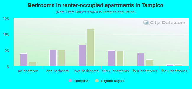 Bedrooms in renter-occupied apartments in Tampico