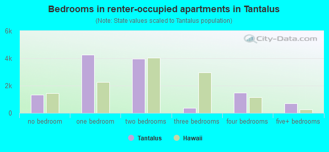 Bedrooms in renter-occupied apartments in Tantalus