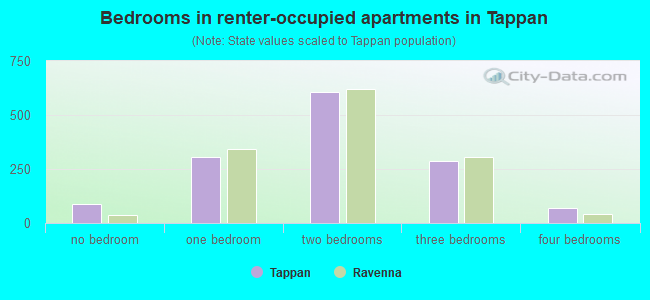 Bedrooms in renter-occupied apartments in Tappan