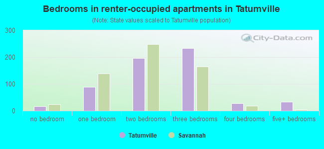 Bedrooms in renter-occupied apartments in Tatumville