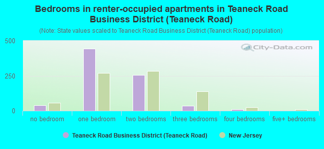 Bedrooms in renter-occupied apartments in Teaneck Road Business District (Teaneck Road)