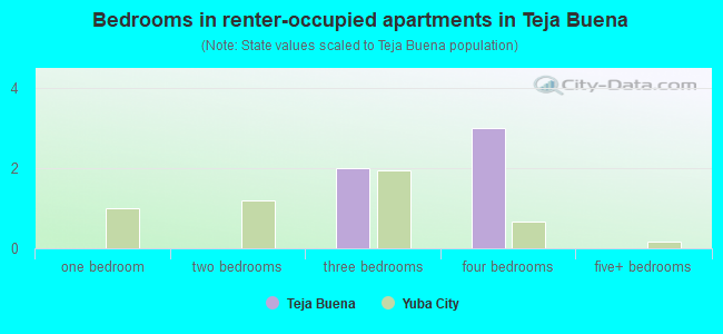 Bedrooms in renter-occupied apartments in Teja Buena