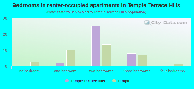 Bedrooms in renter-occupied apartments in Temple Terrace Hills