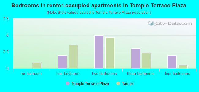 Bedrooms in renter-occupied apartments in Temple Terrace Plaza