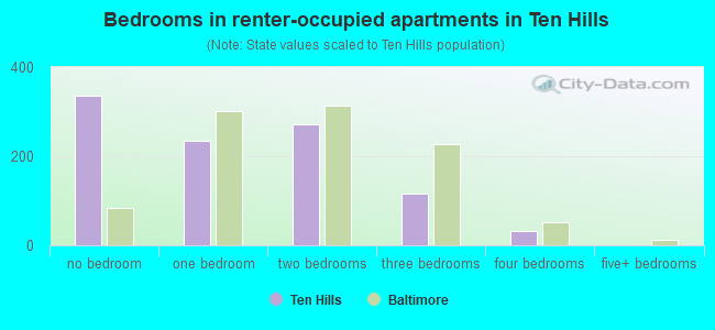 Bedrooms in renter-occupied apartments in Ten Hills